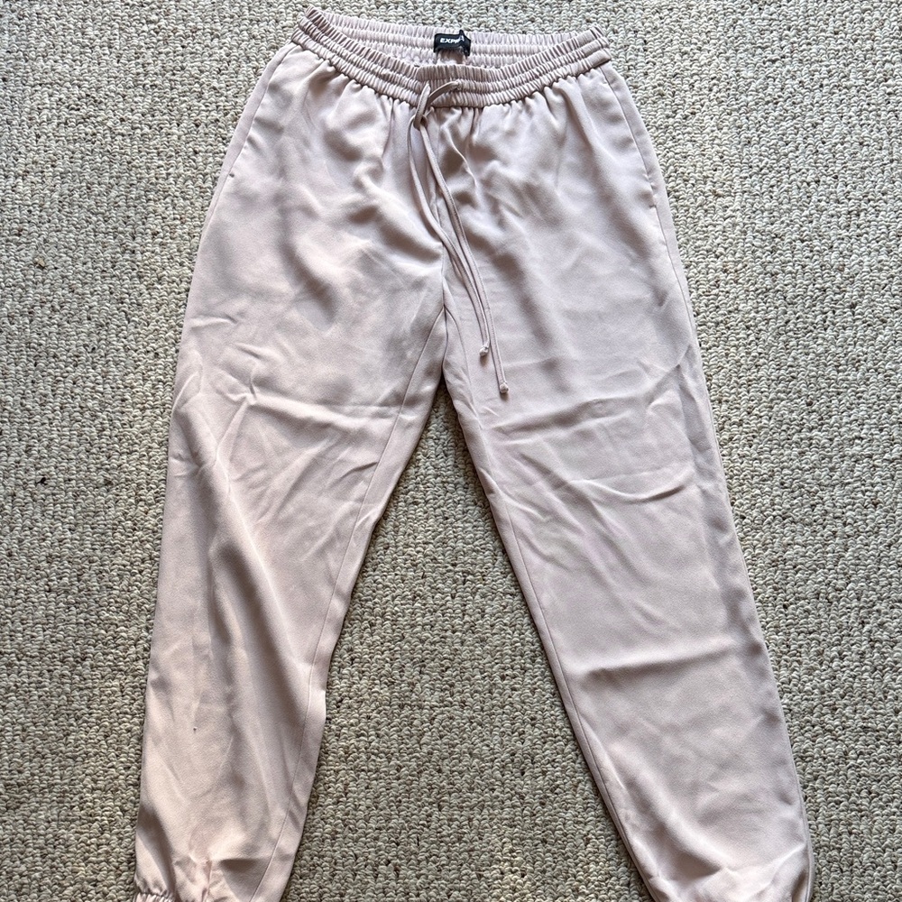 Express Blush Jogger Pants